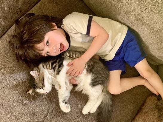Family friendly Siberian kitten in a loving Texas home