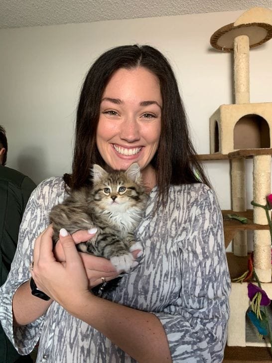 Happy client with Siberian kitten