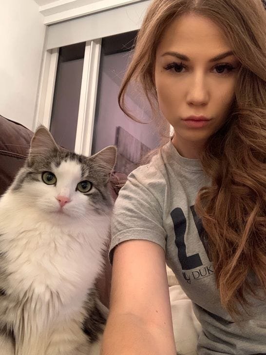 Siberian kittens ready for a new home in Texas